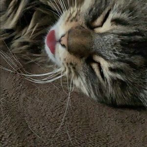 Meet your Posher, Jess